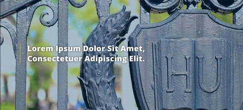 Example image of the full-width video or image hero option.